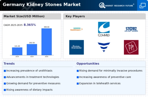 Germany Kidney Stones Market Infographic