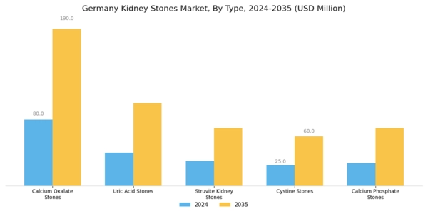 Germany Kidney Stones Market Segment Image 0
