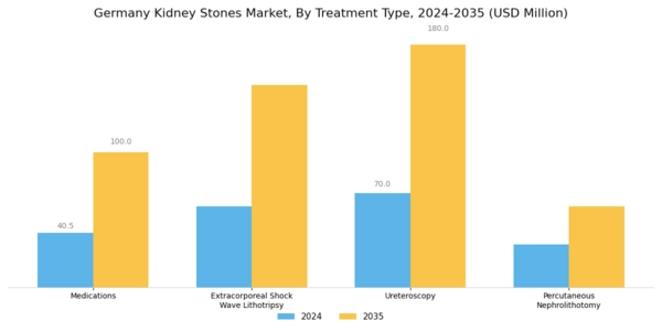 Germany Kidney Stones Market Segment Image 1