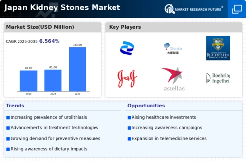 Japan Kidney Stones Market Infographic