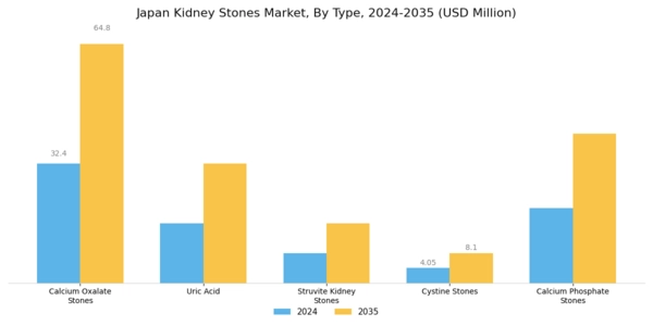 Japan Kidney Stones Market Segment Image 0