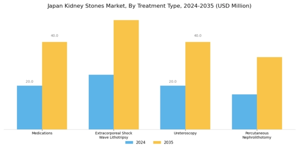 Japan Kidney Stones Market Segment Image 1