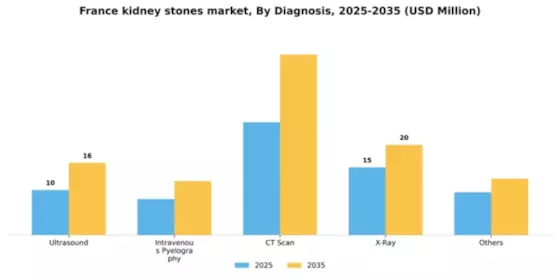 France Kidney Stones Market Segment Image 0