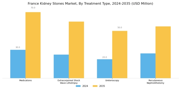 France Kidney Stones Market Segment Image 1