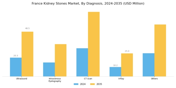 France Kidney Stones Market Segment Image 2