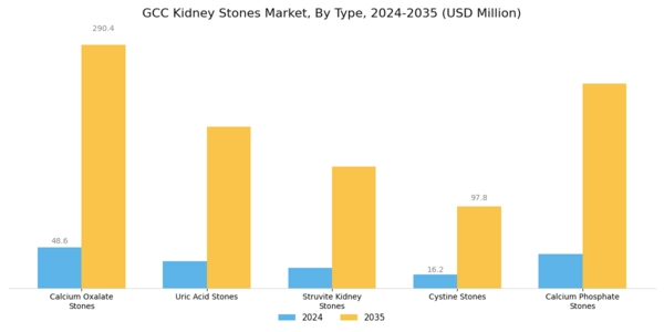 GCC Kidney Stones Market Segment Image 0
