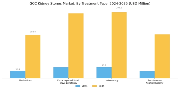 GCC Kidney Stones Market Segment Image 1