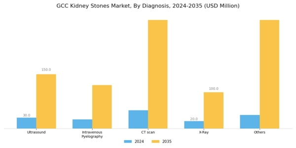GCC Kidney Stones Market Segment Image 2