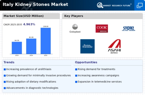 Italy Kidney Stones Market Infographic