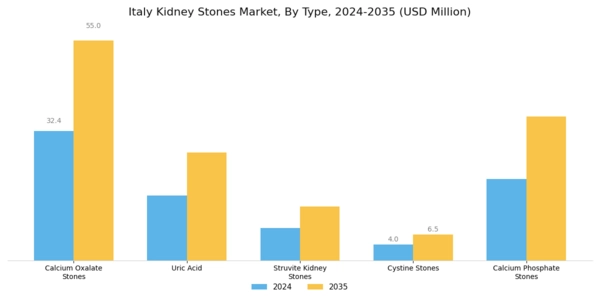 Italy Kidney Stones Market Segment Image 0