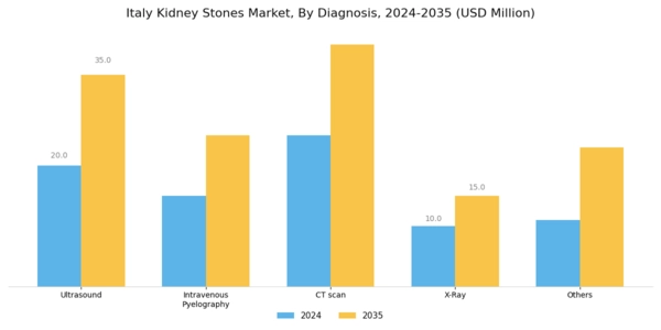 Italy Kidney Stones Market Segment Image 2