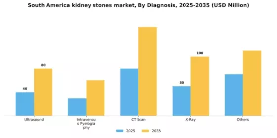 South America Kidney Stones Market Segment Image 0