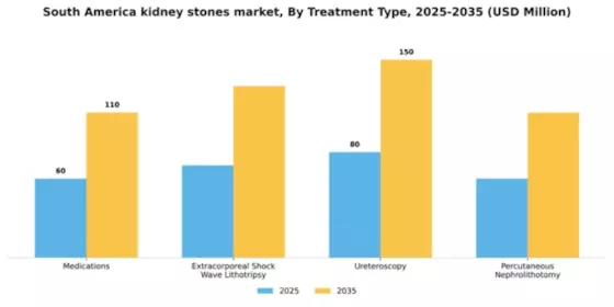 South America Kidney Stones Market Segment Image 1