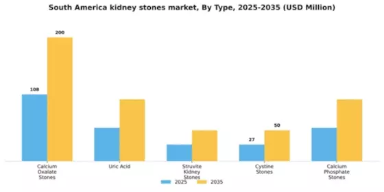 South America Kidney Stones Market Segment Image 2