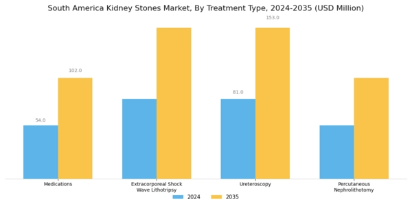 South America Kidney Stones Market Segment Image 1