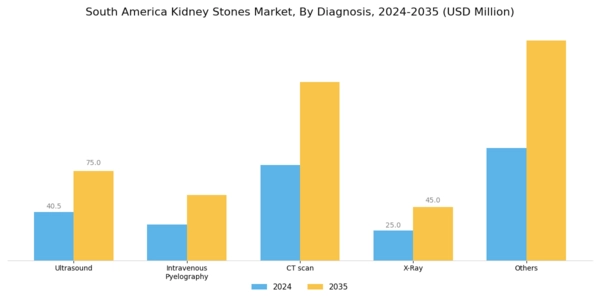 South America Kidney Stones Market Segment Image 2