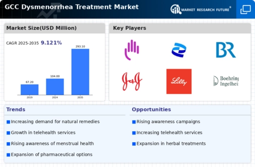 GCC Dysmenorrhea Treatment Market Infographic