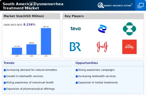 South America Dysmenorrhea Treatment Market Infographic