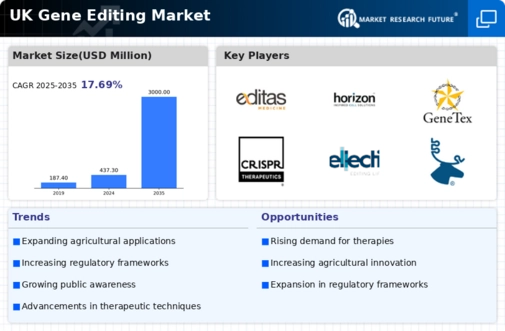 UK Gene Editing Market Infographic