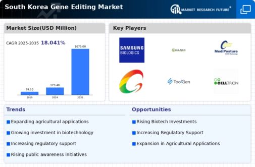 South Korea Gene Editing Market Infographic