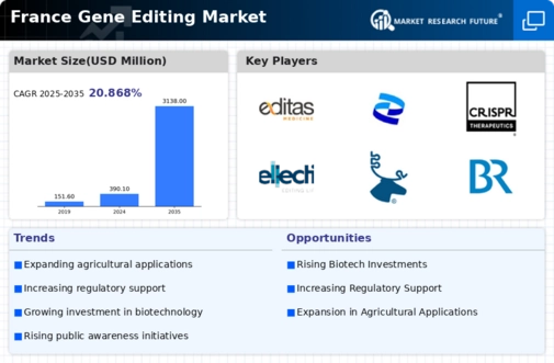 France Gene Editing Market Infographic