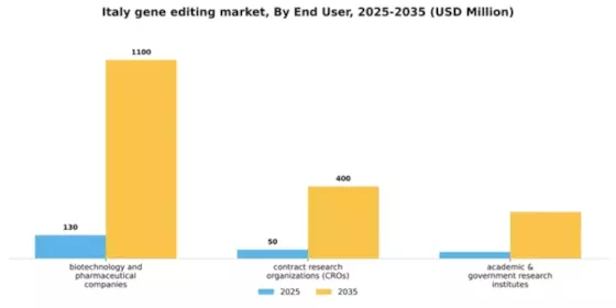 Italy Gene Editing Market Segment Image 1