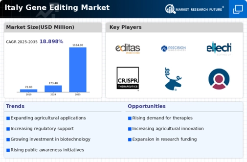 Italy Gene Editing Market Infographic
