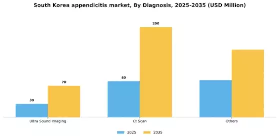 South Korea Appendicitis Market Segment Image 0