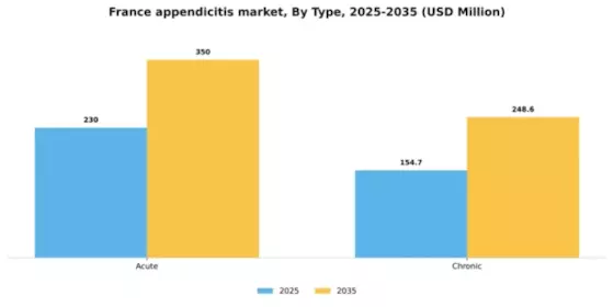 France Appendicitis Market Segment Image 3