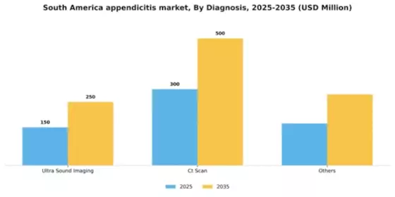South America Appendicitis Market Segment Image 0