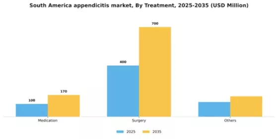 South America Appendicitis Market Segment Image 2