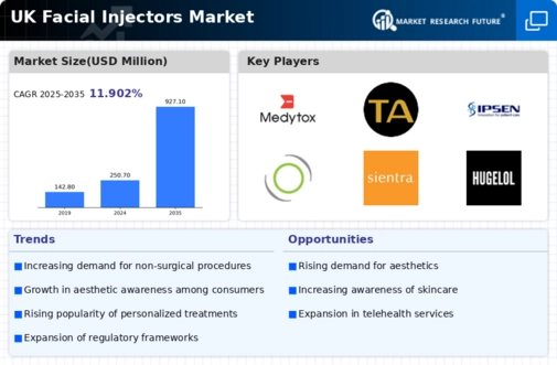 UK Facial Injectors Market Infographic