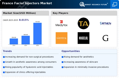 France Facial Injectors Market Infographic