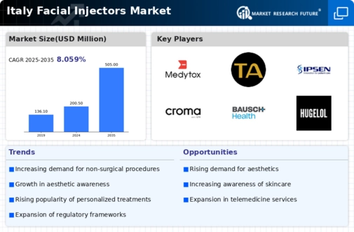 Italy Facial Injectors Market Infographic