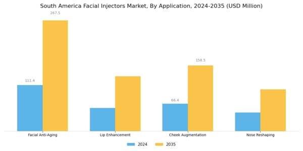 South America Facial Injectors Market Segment Image 1