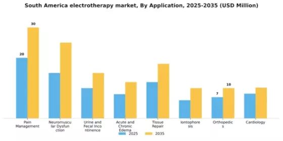 South America Electrotherapy Market Segment Image 0