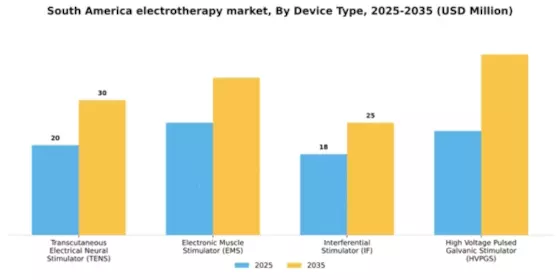 South America Electrotherapy Market Segment Image 1
