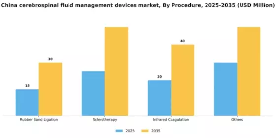 China Cerebrospinal Fluid Management Devices Market Segment Image 1