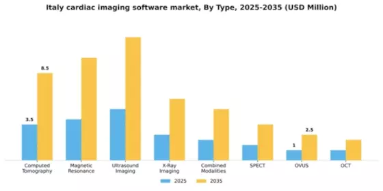 Italy Cardiac Imaging Software Market Segment Image 2