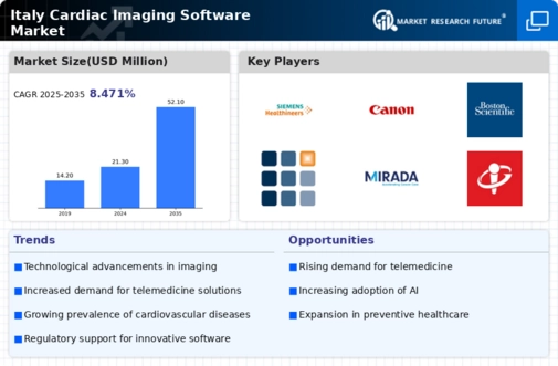 Italy Cardiac Imaging Software Market Infographic