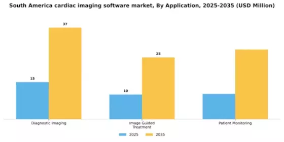 South America Cardiac Imaging Software Market Segment Image 0