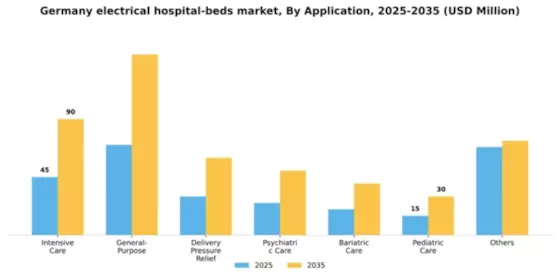 Germany Electrical Hospital Beds Market Segment Image 0