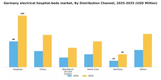 Germany Electrical Hospital Beds Market Segment Image 1