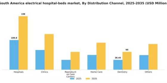 South America Electrical Hospital Beds Market Segment Image 1