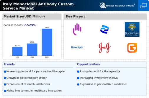 Italy Monoclonal Antibody Custom Service Market Infographic