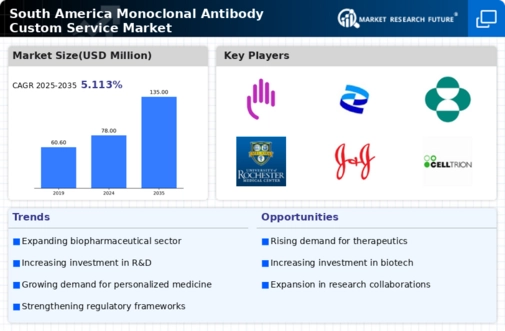 South America Monoclonal Antibody Custom Service Market Infographic
