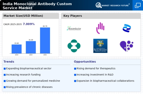 India Monoclonal Antibody Custom Service Market Infographic