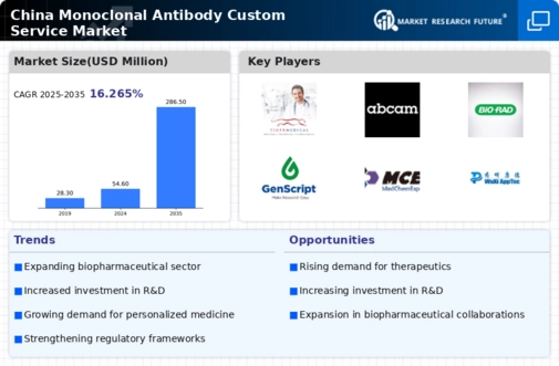 China Monoclonal Antibody Custom Service Market Infographic