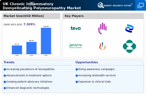 UK Chronic Inflammatory Demyelinating Polyneuropathy Market Infographic