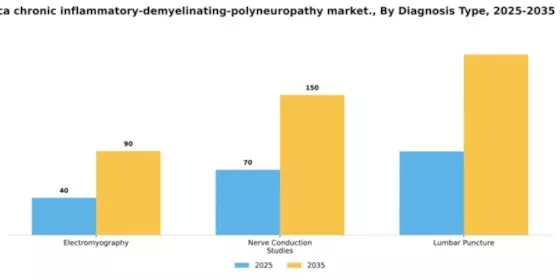 South America Chronic Inflammatory Demyelinating Polyneuropathy Market Segment Image 0